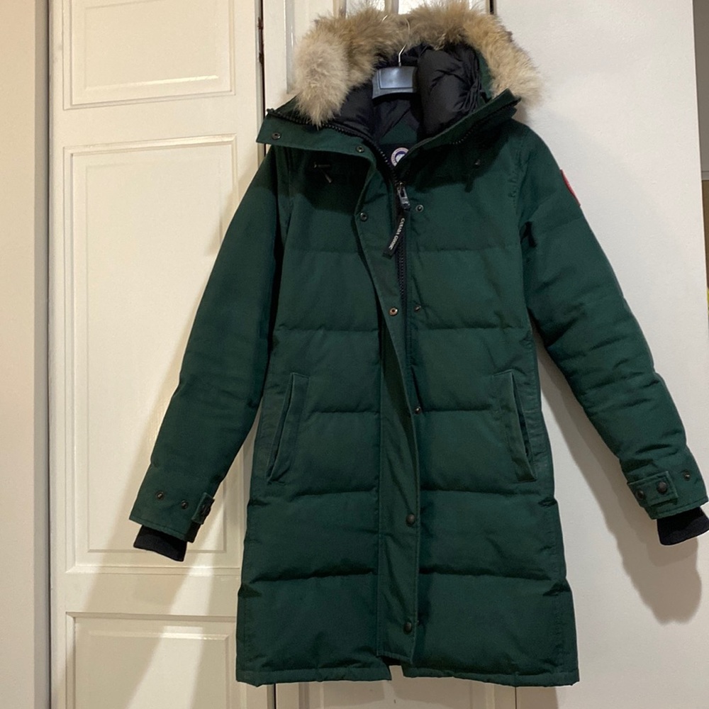 Shelburne green Canada goose